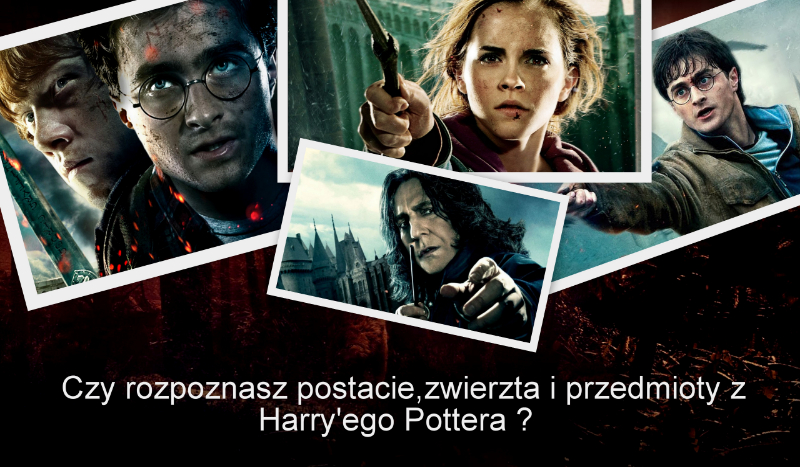 Czy Rozpoznasz Postacie Zwierz Ta I Przedmioty Z Harry Ego Pottera