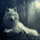 I_Love_Wolfs