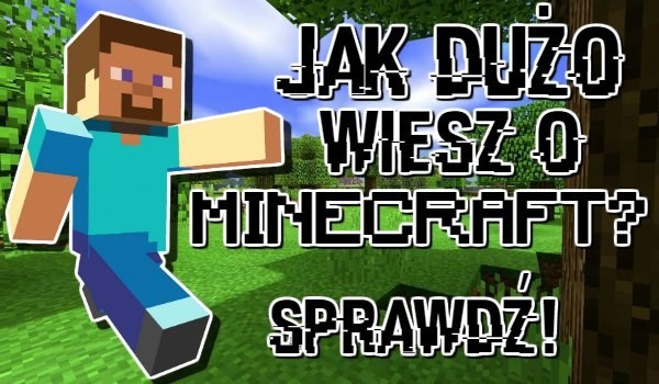 Jak dużo wiesz o minecraft sameQuizy