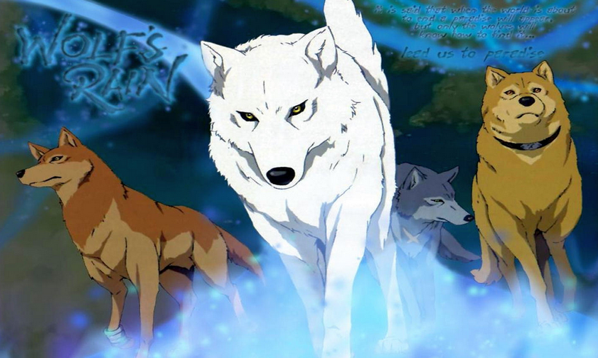 Którą postacią z Wolf’s Rain jesteś?
