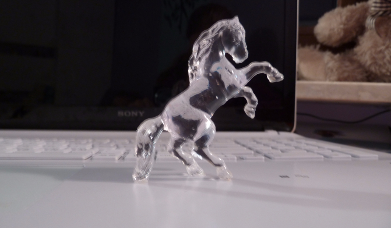 Jakie zwierzątko pasuje do ciebie?