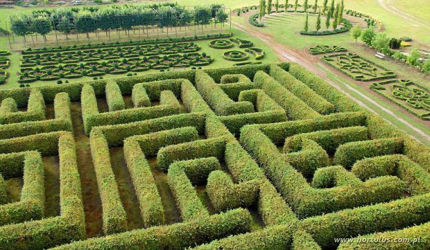 przetrwasz w labiryncie razem z rodziną? (proszę żeby nie zmieniać odpowiedzi jak już wybieżecie!!!)