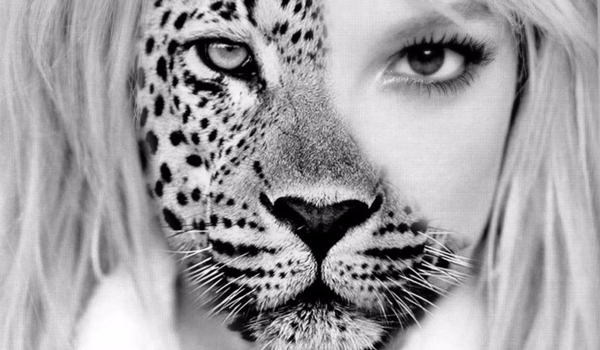 Jaką hybrydą jesteś?