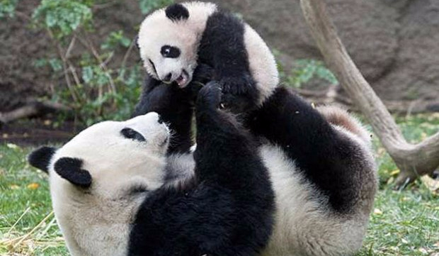 Czy Potrafisz się przejść obok TEGO bez zatrzymania?