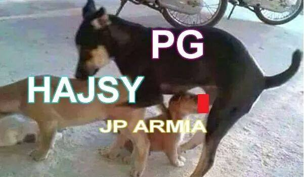 Ile wiesz o gimperze