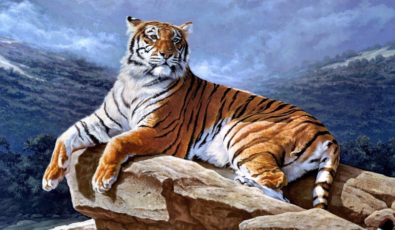 Jakim zwierzęciem jesteś?