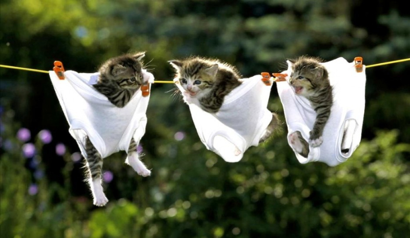 jakim piciem jesteś?