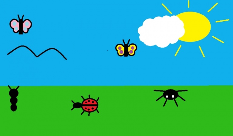 Zasoby przyrody-test