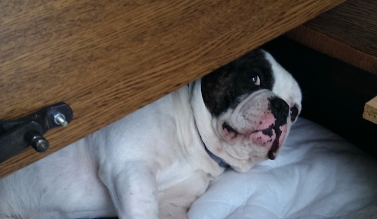 Co myśli o tobie Korek?