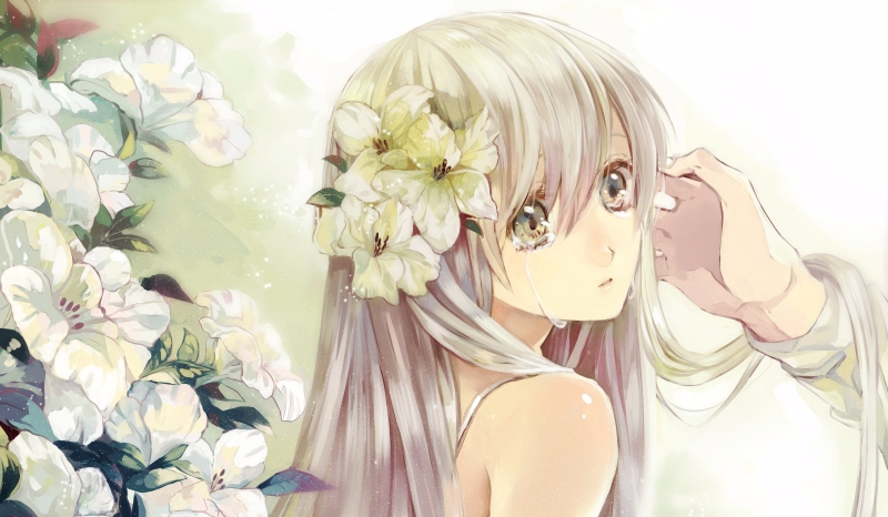 Co wiesz o Lisie #2 XD