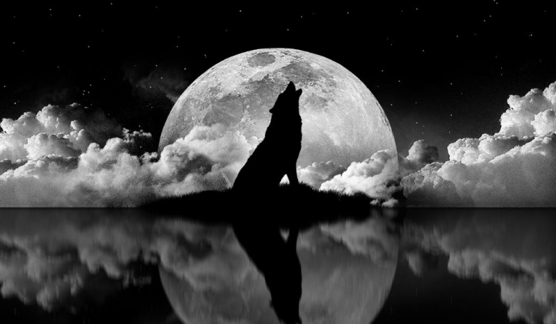 Jaką dziewczyną jesteś?