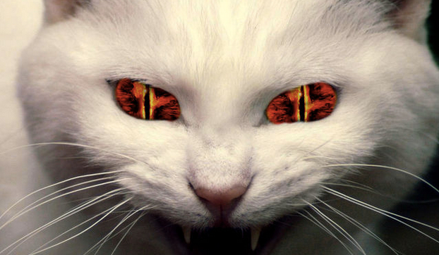 Czyją córką jesteś?