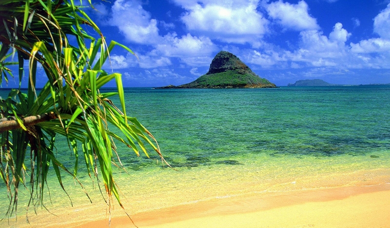 Czy uda Ci się przeżyć na wyspie?