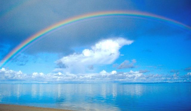 Jaki samochód będziesz miał w przyszłości?