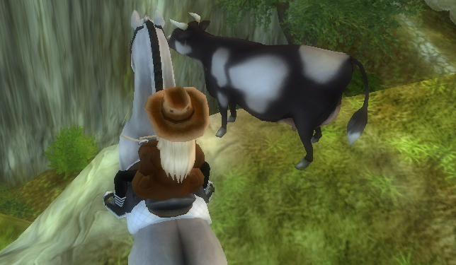 Jak dobrze znasz Suseła?