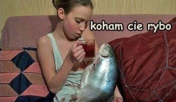 Jak dobrze znasz się na ,,internetach”?