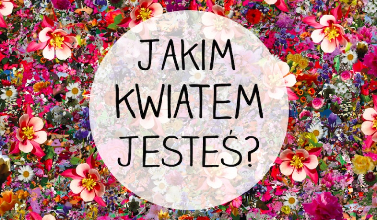 Jakim kwiatem jesteś?