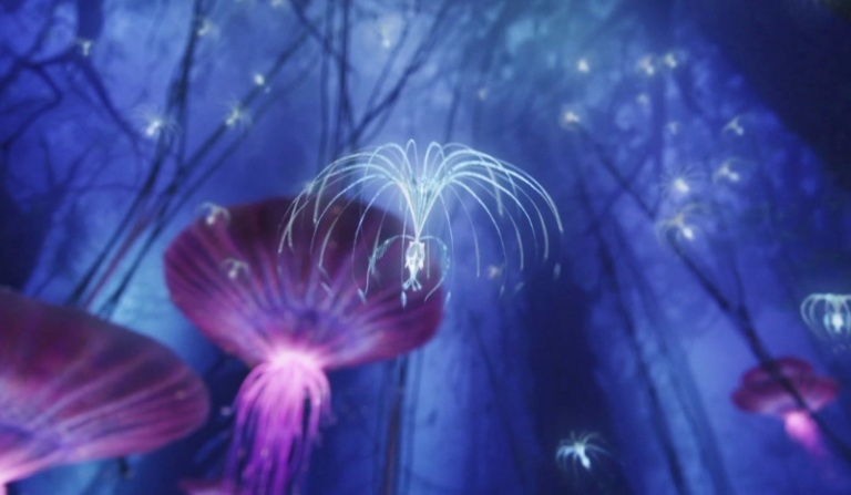 Twoja historia w świecie magii (dla dziewczyn!).