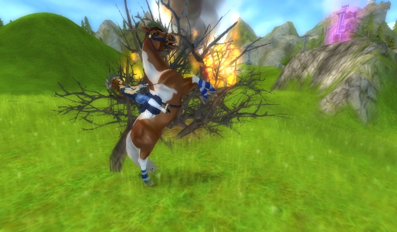 Quiz: Star Stable Online