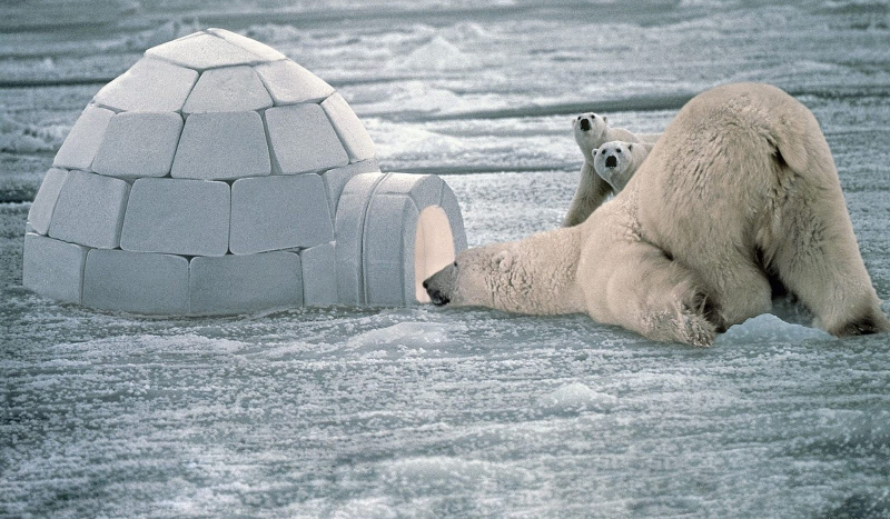 Jak dobże znasz Verteza
