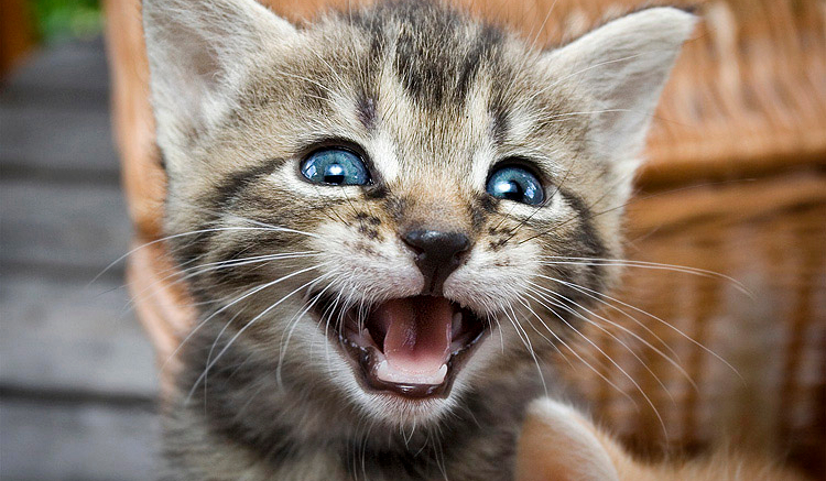 Gdzie byś chciał pojechać na wakacje?