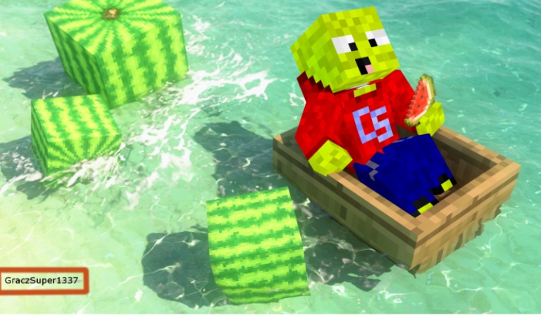 Jak dobrze znasz Gracza?