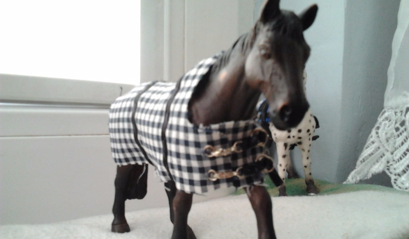 Co wolisz Klacz czy Ogier :)