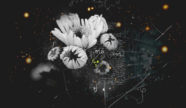 Jakim magicznym stworzeniem jesteś?