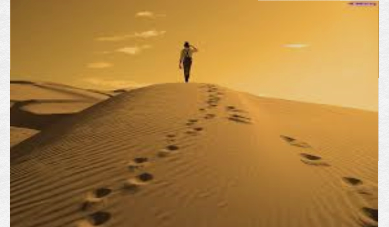 Czy przeżyłbyś na pustyni?