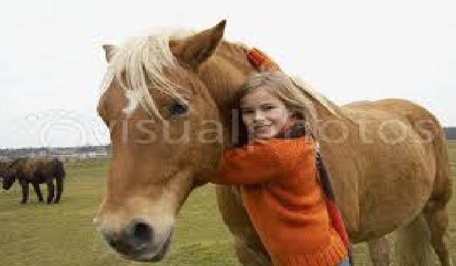 Czy nadajesz się na jeźdca?