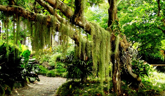 Ile wiesz o spongebob’ie