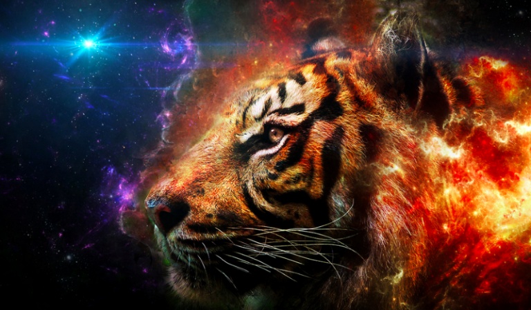 Jakie zwierzę powinno być Twoim towarzyszem?