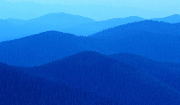 Jakim yutuberem jesteś