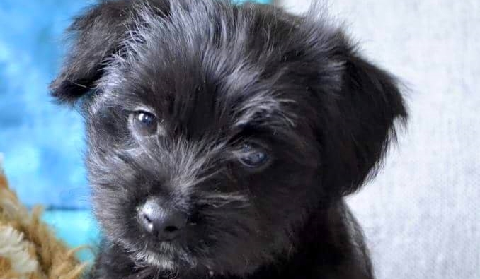 Gdzie tak naprawdę powinieneś się urodzić?