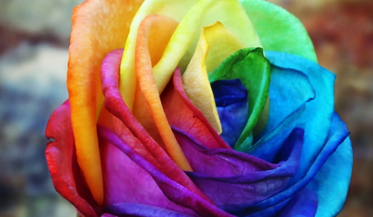 Czy uda mi się za pomocą jednego pytania określić twój ulubiony kolor?