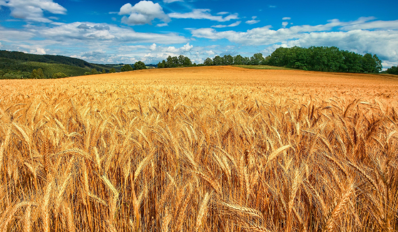 Do jakiej epoki należysz?