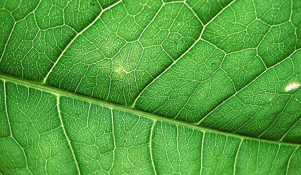 Czy spotkasz swoją miłość?