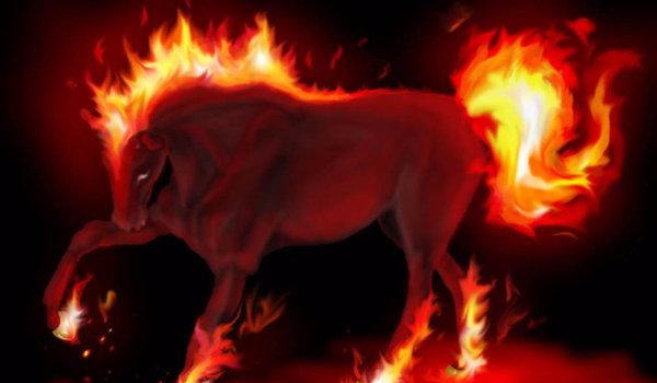 czy  nadajesz się na właściciela konia?