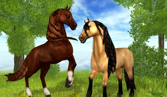 Trudne – Jak dużo wiesz o SSO?