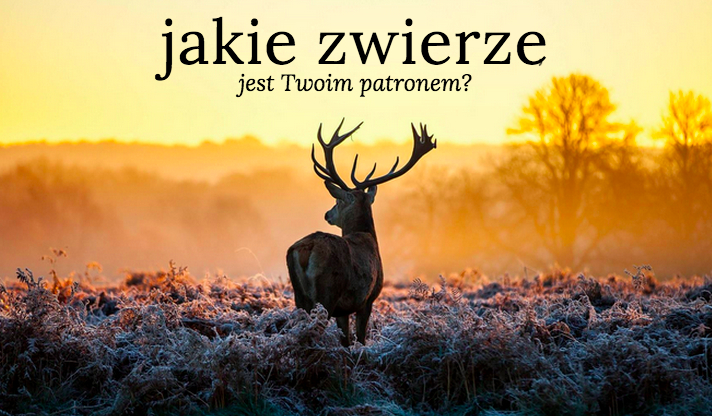 Jakie zwierzę jest Twoim patronem?