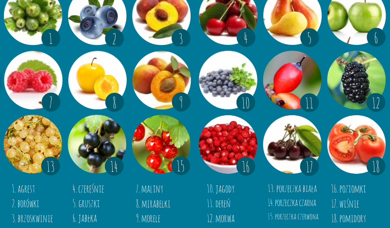 Jaki jest twój ulubiony owoc