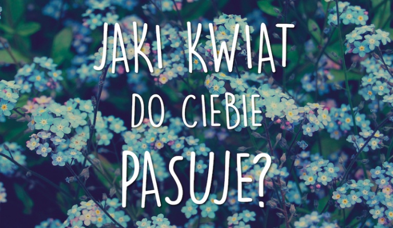 Jaki kwiat do Ciebie pasuje?