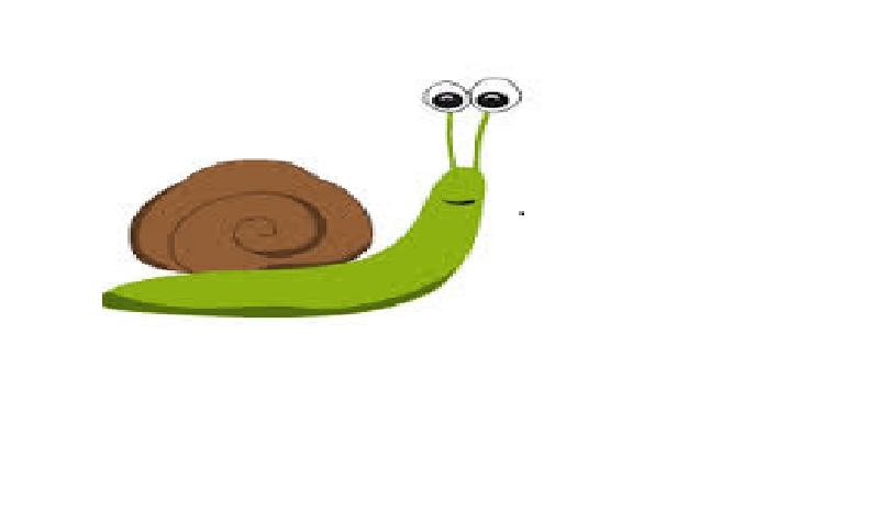 Jak dużo wiesz o ślimakach?