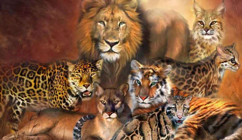 Jak dobrze znasz się na dzikich kotach?