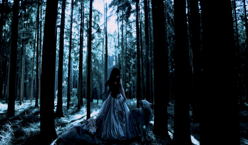 Czy przeżyjesz sam w lesie przez kilka dni?