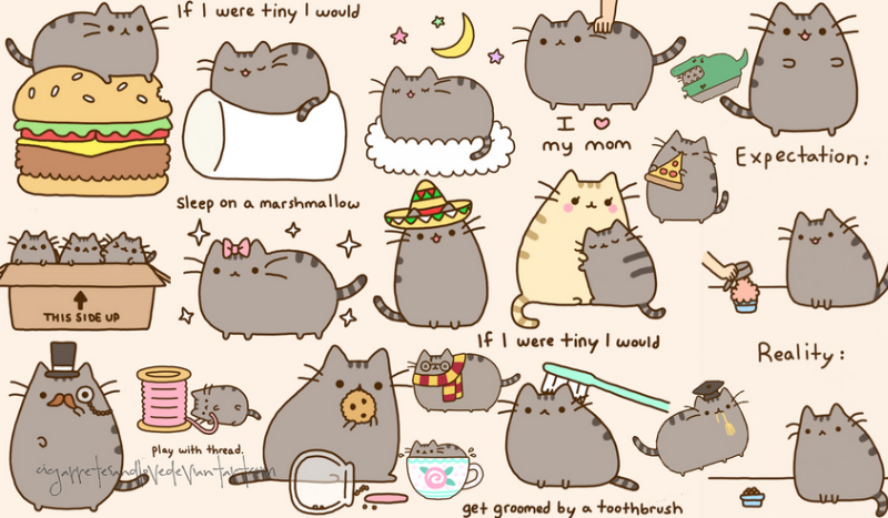 Czy uda ci się wychować małego Pusheena?