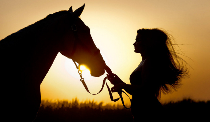 Jakim byś był, bądź jesteś właścicielem konia?