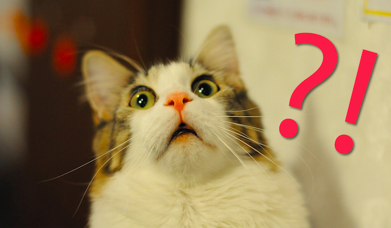 Ten krótki test całkowicie rozwali Twój mózg!