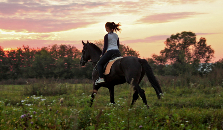 Co wiesz o jeździectwie?
