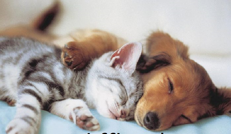 Jak inni Cię opisują?